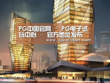 案例展示三