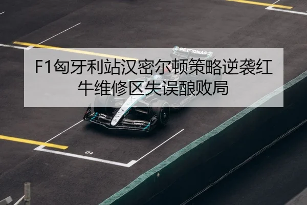 xiong-ya-li-zhan-han-mi-er-dun-ce-lve-ni-xi-hong-niu-wei-xiu-qu-shi-wu-niang-bai-ju-3-846.jpg