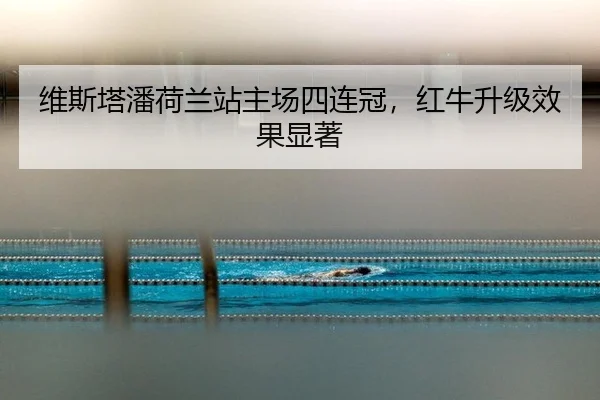 wei-si-ta-pan-he-lan-zhan-zhu-chang-si-lian-guan-hong-niu-sheng-ji-xiao-guo-xian-zhu-3-565.jpg